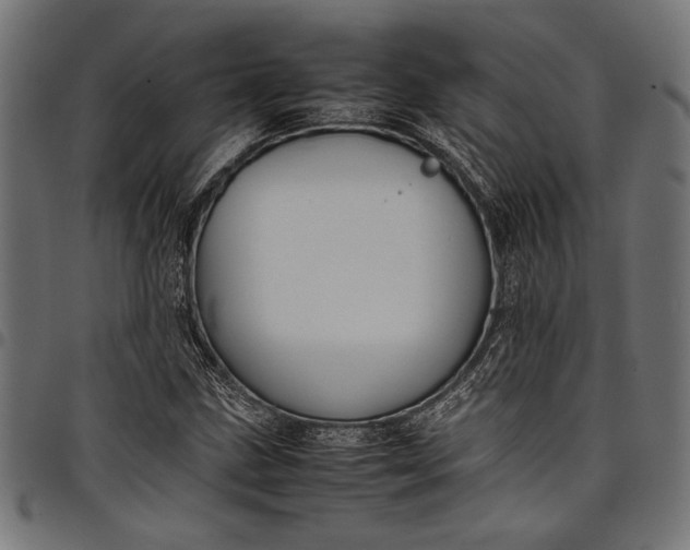 X0000097821211200803281114