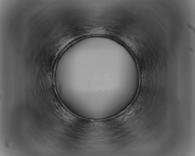 X0000097821212200803281114