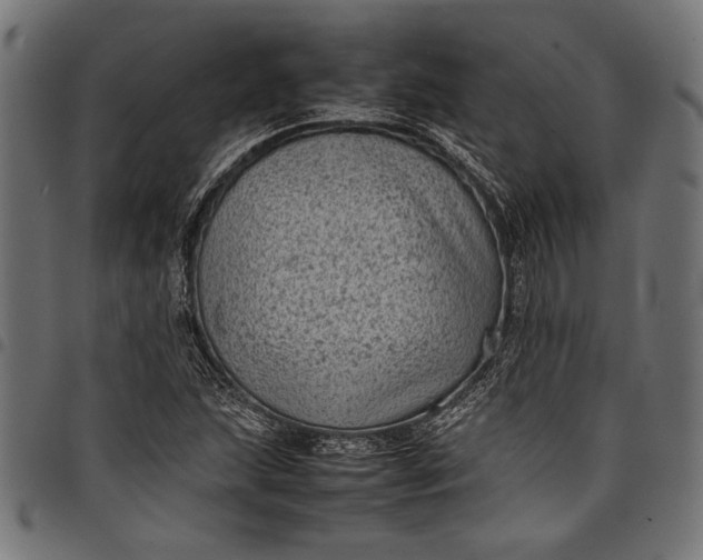 X0000097821215200803281114