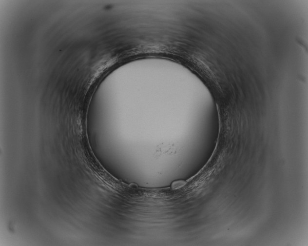 X0000097821218200803281114