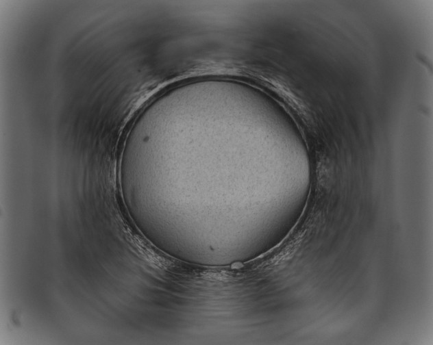 X0000097821220200803281114