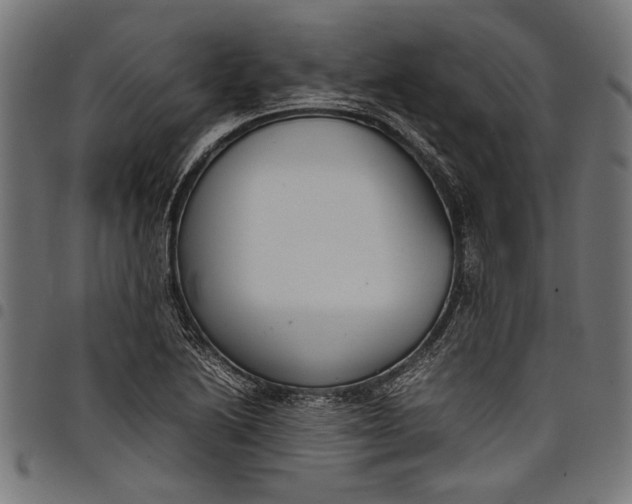 X0000097821222200803281114