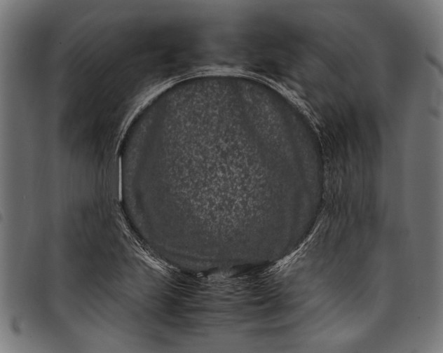 X0000097821223200803281114