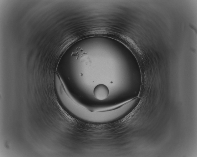 X0000097821225200803281114