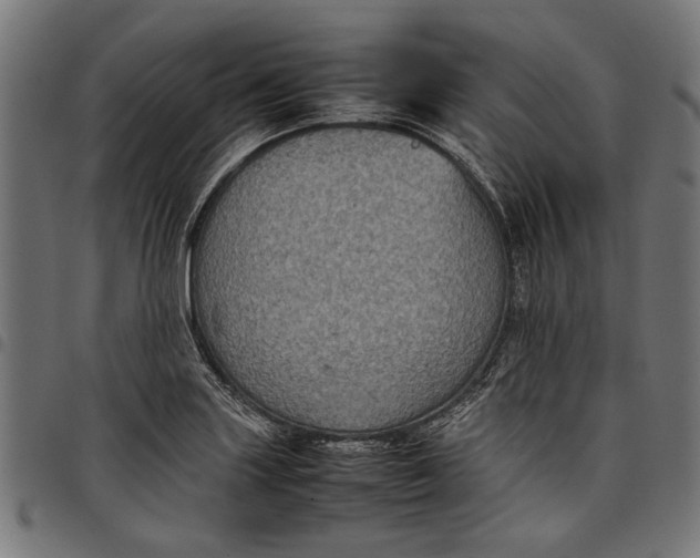 X0000097821227200803281114