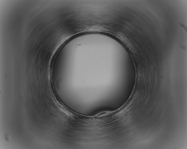 X0000097821232200803281114