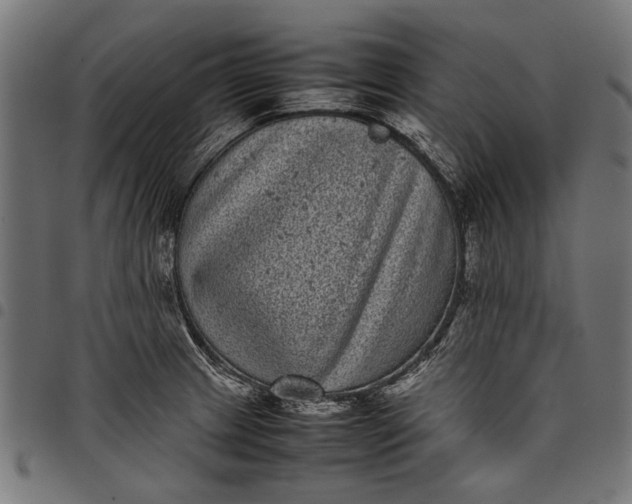 X0000097821233200803281114