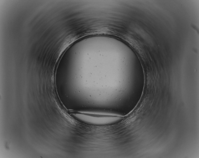 X0000097821234200803281114