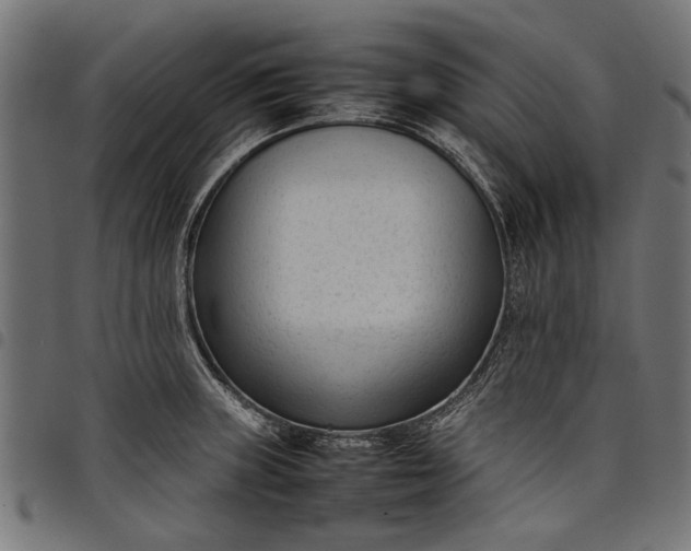 X0000097821235200803281114