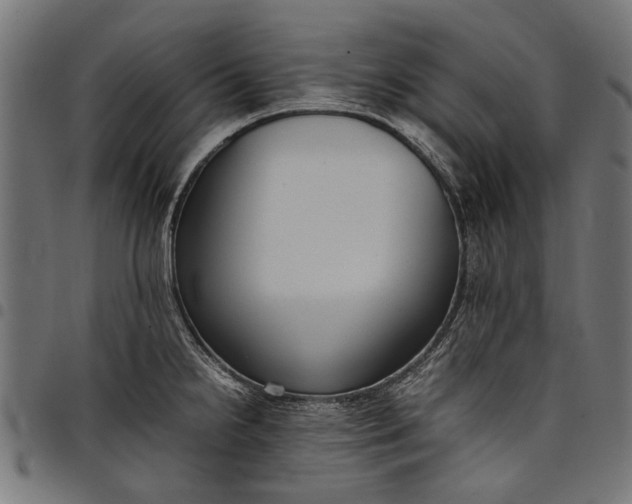 X0000097821238200803281114