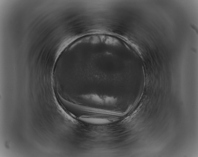 X0000097821239200803281114