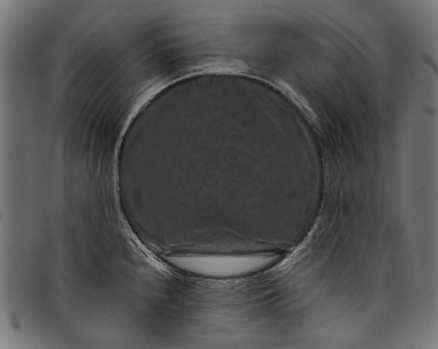 X0000097821240200803281114