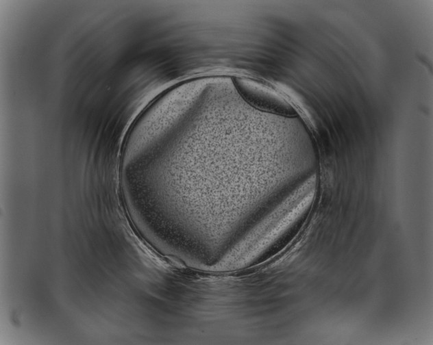 X0000097821244200803281114