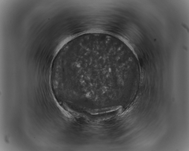 X0000097821245200803281114