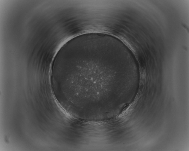 X0000097821246200803281114