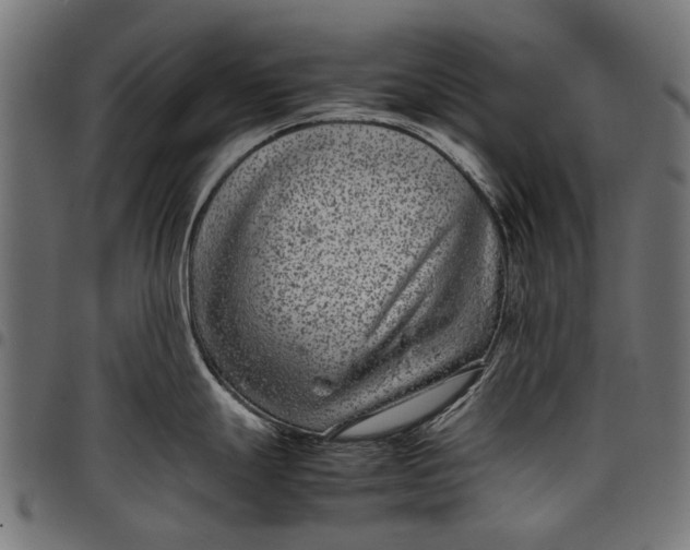 X0000097821247200803281114