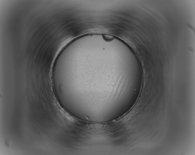 X0000097821248200803281114