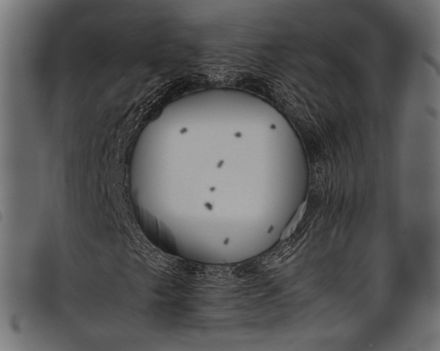 X0000097821249200803281113