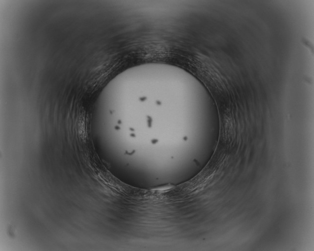 X0000097821250200803281113