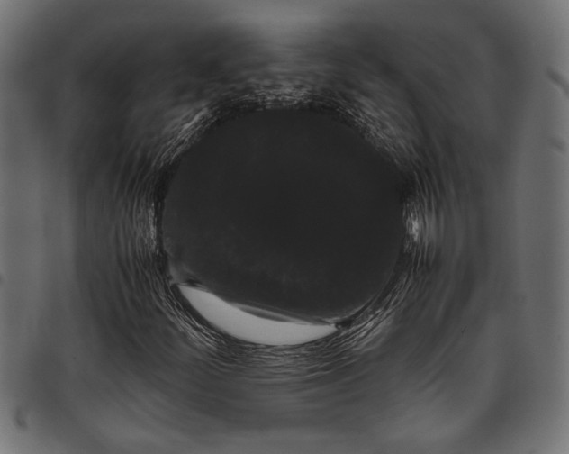 X0000097821252200803281113