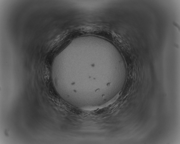 X0000097821253200803281113