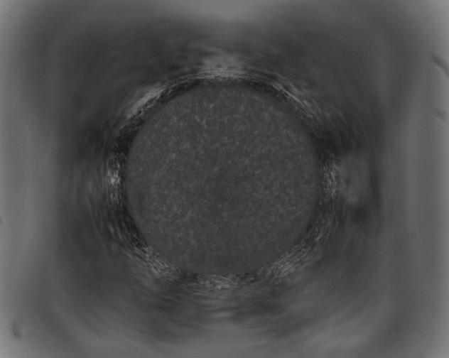 X0000097821254200803281113