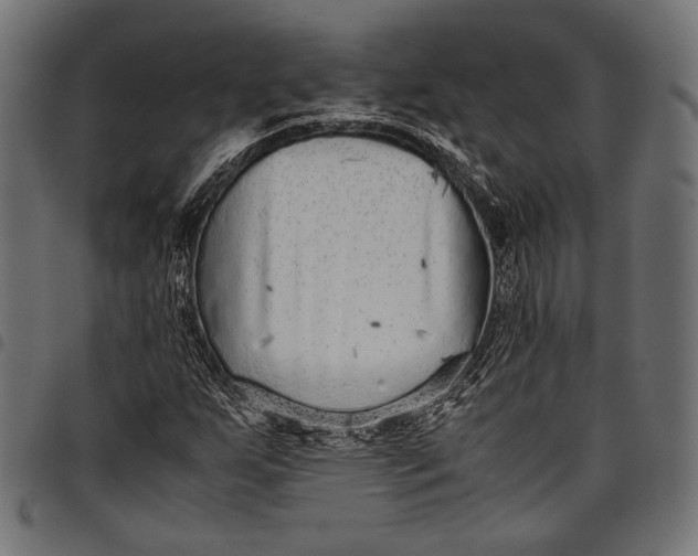 X0000097821255200803281113