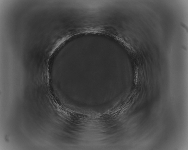 X0000097821256200803281113