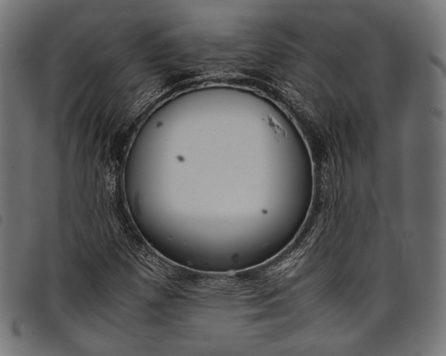 X0000097821257200803281113