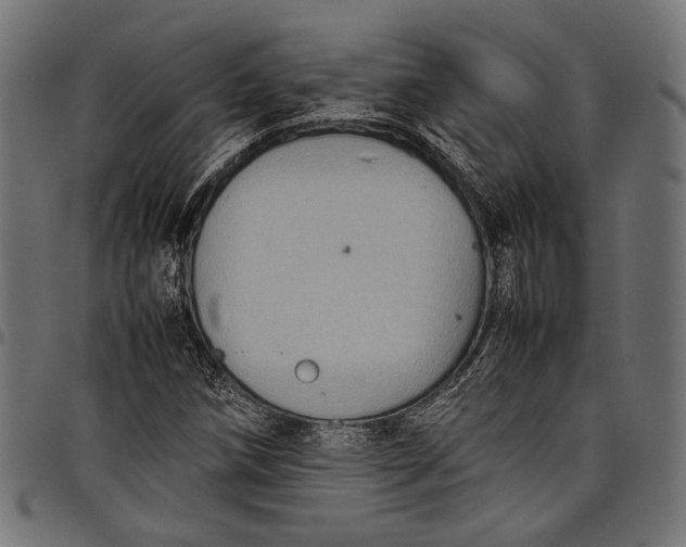 X0000097821258200803281113