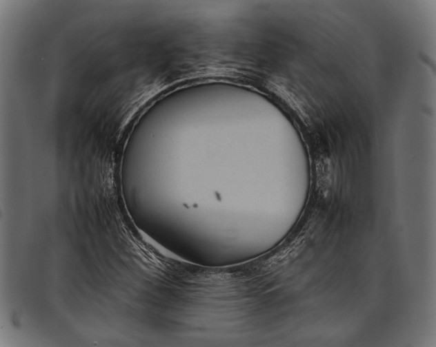 X0000097821260200803281113