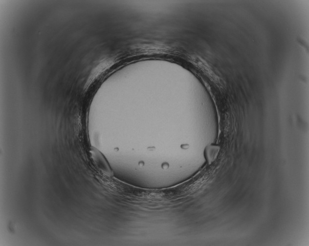 X0000097821261200803281113