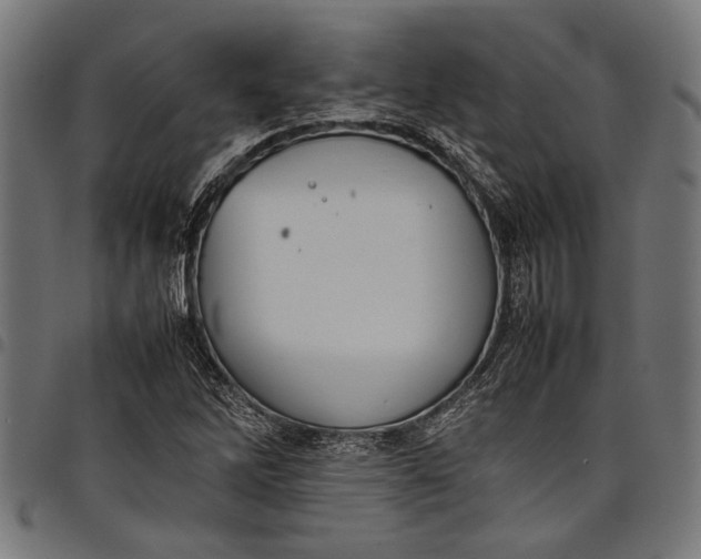 X0000097821262200803281113