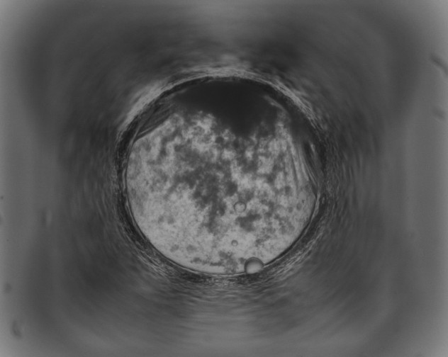 X0000097821263200803281113