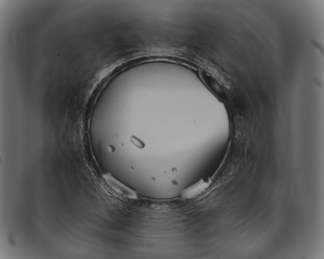 X0000097821264200803281113