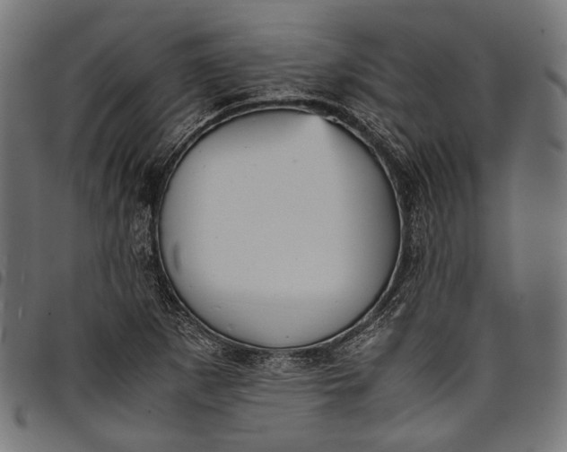 X0000097821265200803281113