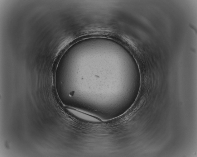 X0000097821267200803281113