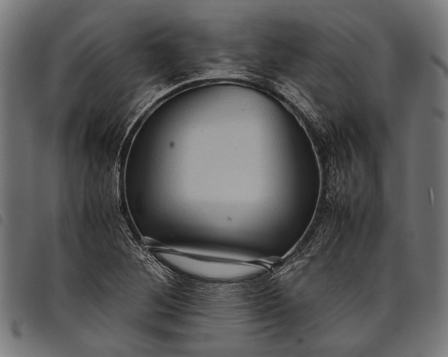 X0000097821268200803281113