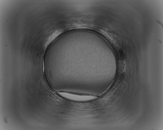 X0000097821269200803281113