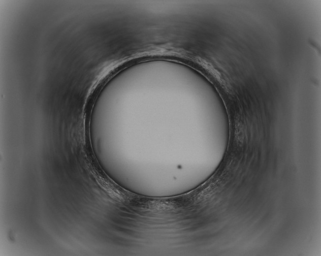 X0000097821270200803281113