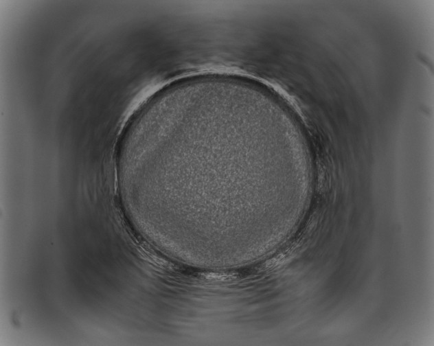 X0000097821271200803281113