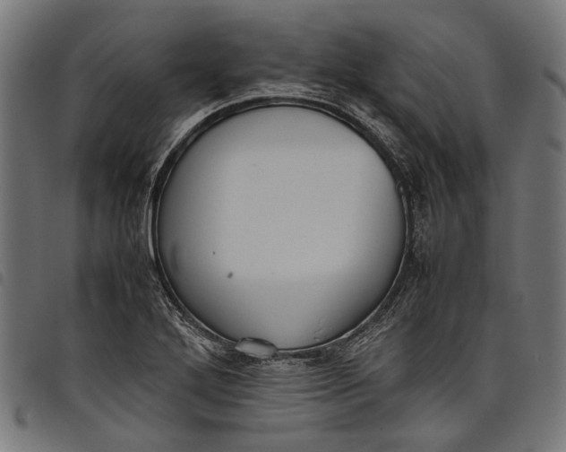 X0000097821272200803281113