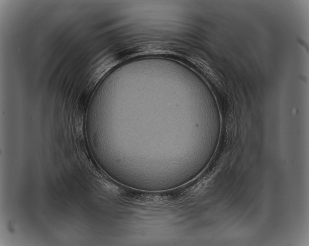 X0000097821273200803281113