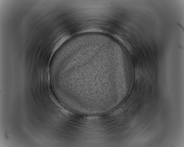 X0000097821274200803281113