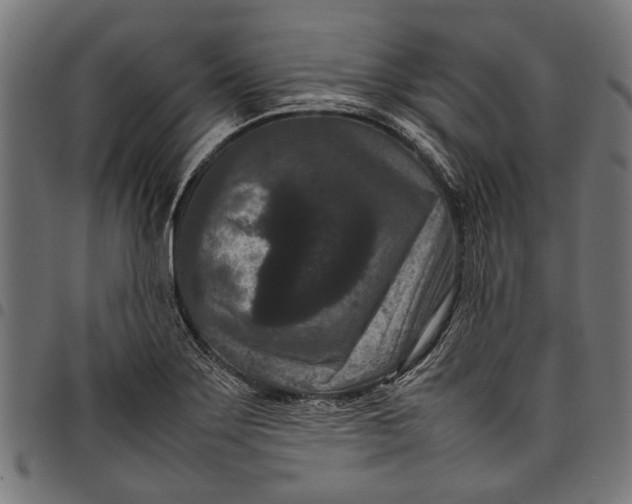 X0000097821275200803281113