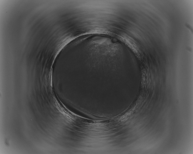 X0000097821276200803281113