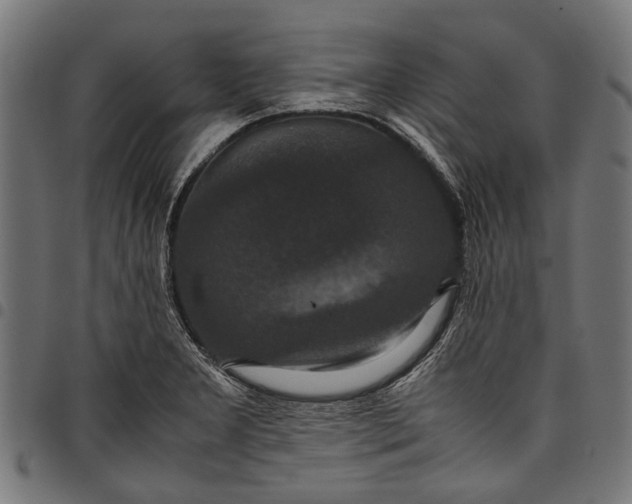 X0000097821277200803281113