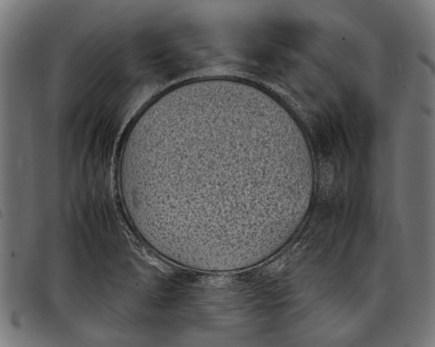 X0000097821278200803281113