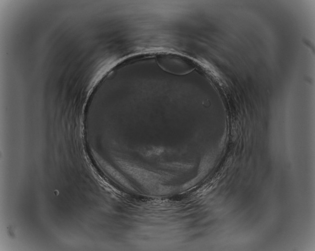 X0000097821279200803281113