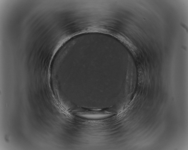 X0000097821280200803281113